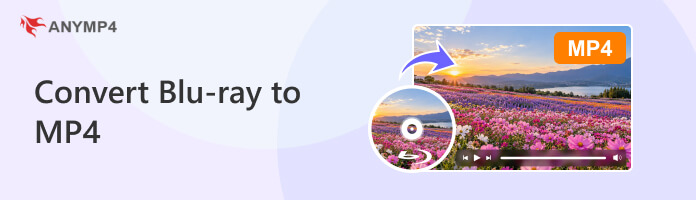 Convert Blu Ray To MP4