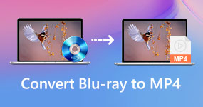 Converti Blu-ray in MP4