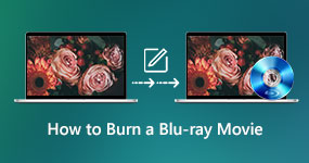 How to Burn A Blu-ray Movie