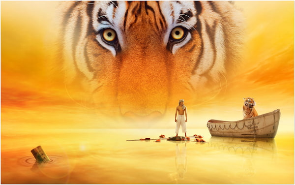 Blu-ray-film Life of Pi