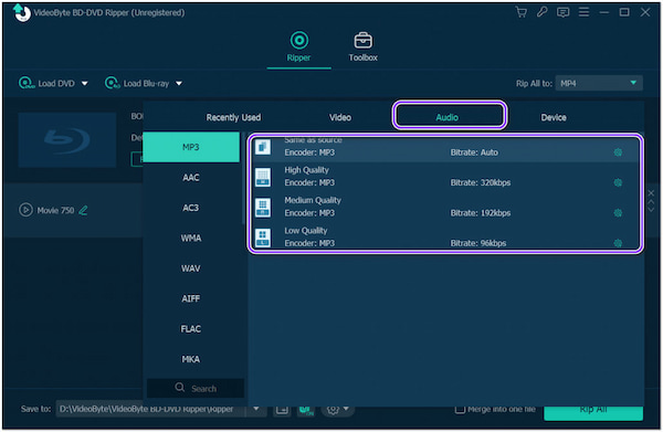 VideoByte Audio Format