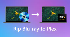 Ripar Blu-ray para Plex