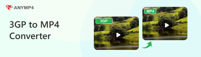 3Gp To Mp4 Converter