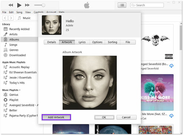 Add Album Art iTunes Add