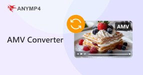 AMV Converter