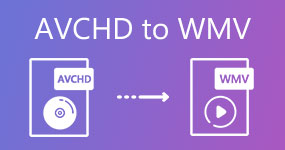 AVCHD to WMV