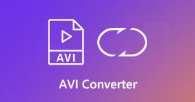 Convertidor AVI