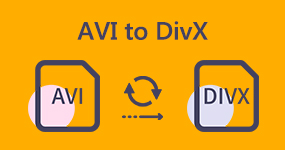 AVI para DivX