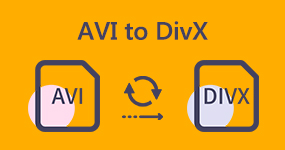 AVI'den DivX'e