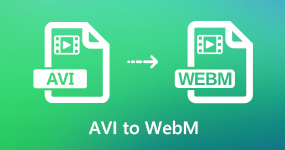 AVI 轉 WEBM