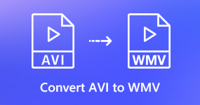 Convertire AVI in WMV