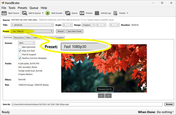 Select MP4 Output Preset in HandBrake