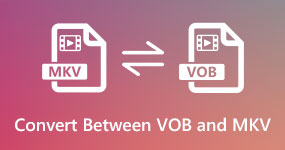 Convert Between VOB and MKV