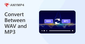 Convert Between Wav And Mp3