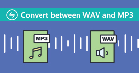 Konvertera mellan WAV och MP3