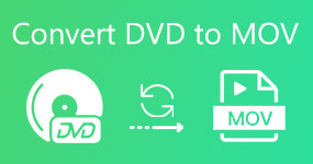 Converti DVD in MOV