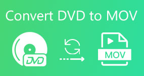 Konverter DVD til MOV