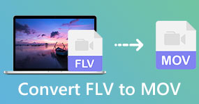 Converteer FLV naar MOV