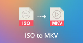 轉換ISO到MKV