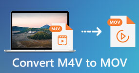 Converteer M4V naar MOV