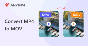 Convert MP4 To MOV