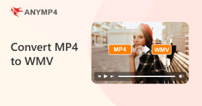 Convert Mp4 To Wmv