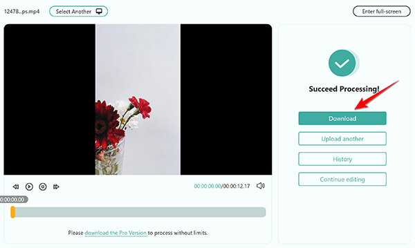 Convert MP4 To WMV In AnyMP4 Free Online Video Converter Online
