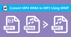 Convierta MP4 WMA a MP3 usando WMP