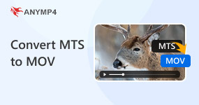 Convert Mts To Mov