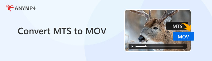 Convert Mts To Mov