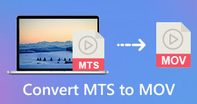 Convert MTS to MOV