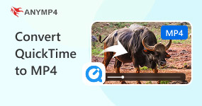 Convert Quicktime To Mp4