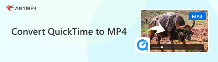 Convert Quicktime To Mp4