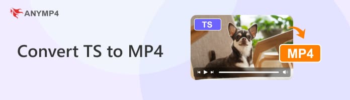 Convert Ts To Mp4