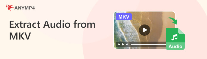 Extract Audio from MKV