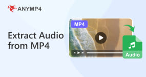 Extract Audio From MP4
