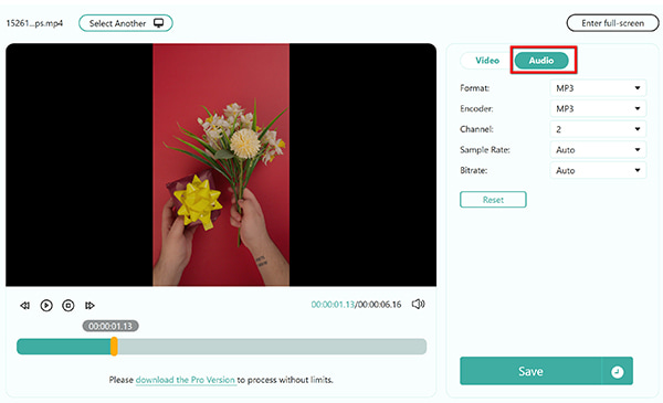 Select Audio Output Format Online