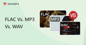 FLAC Vs MP3 Vs WAV