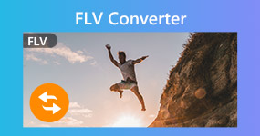 Flv Converter