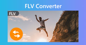 Convertidor de FLV