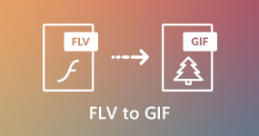 Da FLV a GIF