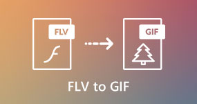 FLV til GIF