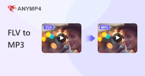 Flv To Mp3