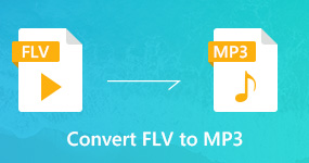 5 FLV到MP3轉換器以從FLV提取MP3