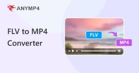 Convertitore da FLV a MP4