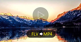 FLV to MP4