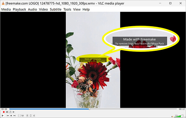Freemake Video Converter Include Watermark