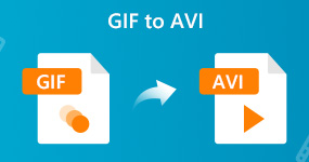 Konvertera GIF till AVI