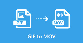 GIF to MOV