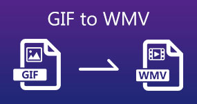 GIF na WMV